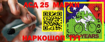apvp Славгород