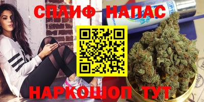 apvp Славгород