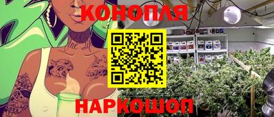 apvp Славгород