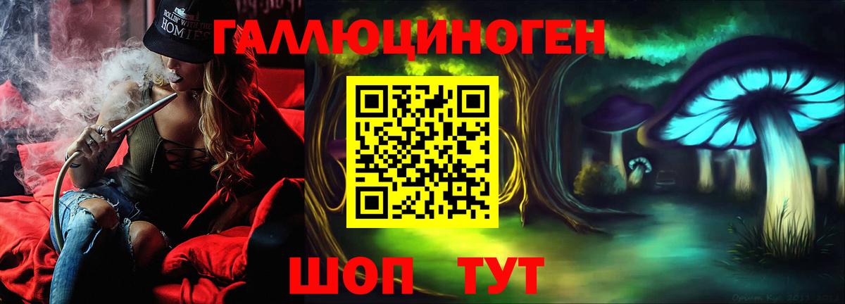 Скопин  Галлюциногенные грибы Psilocybine cubensis  Вход с VPN 